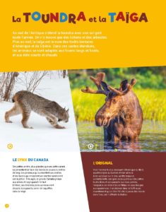 Animaux