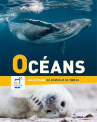 Océans