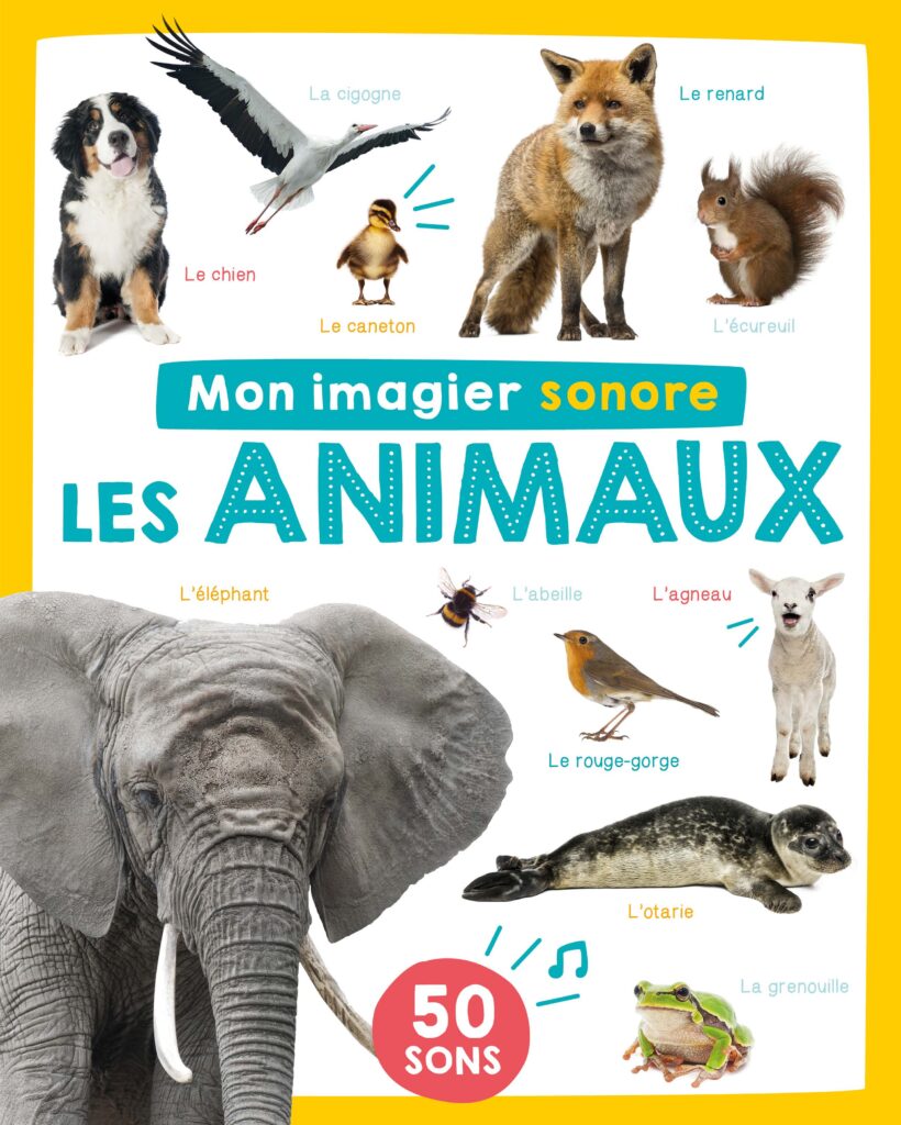A QUI SONT CES CORNES D'ANIMAUX ? - livre sonore