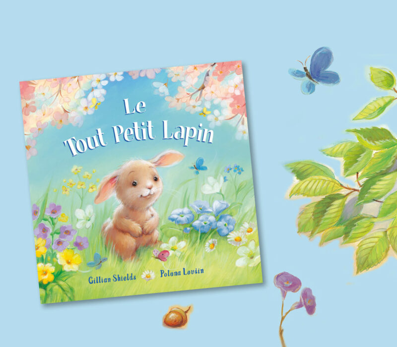 slide-Le tout-petit lapin2