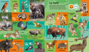 175 sons animaux