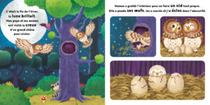 9782384532889_CyclesNaturels_Chouette_1