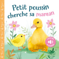 Petit poussin cherche sa maman