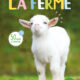 9782384534845_GrandLivreSonore_Ferme