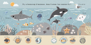 9782384534494_9782384534500_BebeDecouvre_Ocean_2
