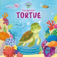 Cycles Naturels – La petite tortue