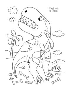 9782384534838_MesPlanchesDArtistesAColorier_Dinosaures_3