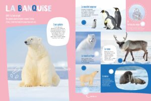9782384534852_MonGrandLivreSonore_Animaux