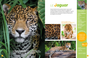9782384535187_MonEncycloDesAnimaux_2