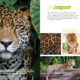 Mon encyclo des animaux