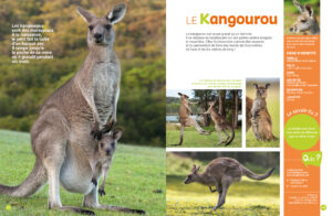 9782384535187_MonEncycloDesAnimaux_3