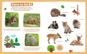 9782384533435_MonImagierSonore_LesBebesAnimaux_3
