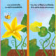 Cycles naturels – La petite citrouille