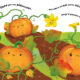 Cycles naturels – La petite citrouille