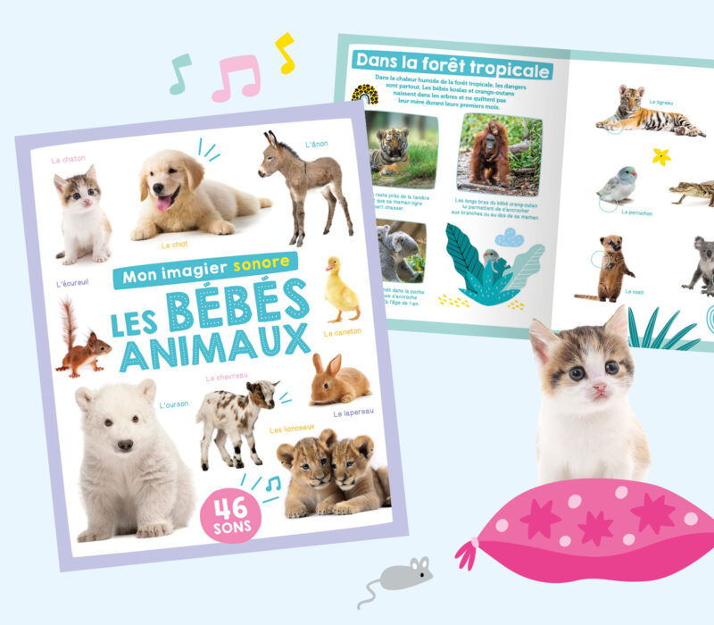 Slide-imagier_sonore_Les_Bebes_Animaux_2