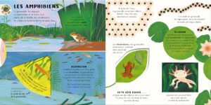 9782384535965_Les_cycles_de_la_vie_animaux_et_plantes_2