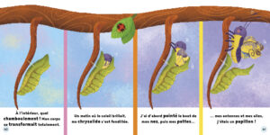 9782384536955_Mes_histoires_de_la_nature_le_jardin_1