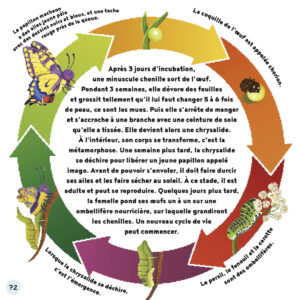 9782384536955_Mes_histoires_de_la_nature_le_jardin_3