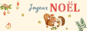 Slide_Noel 4