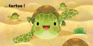 petite_tortue_12