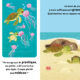 Cycles Naturels – La petite tortue