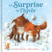 La surprise de l&rsquo;hiver