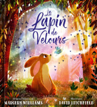 Le lapin de velours