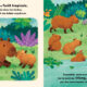 Cycles Naturels – Le petit capybara