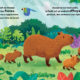 Cycles Naturels – Le petit capybara