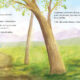 Le sentier des ours